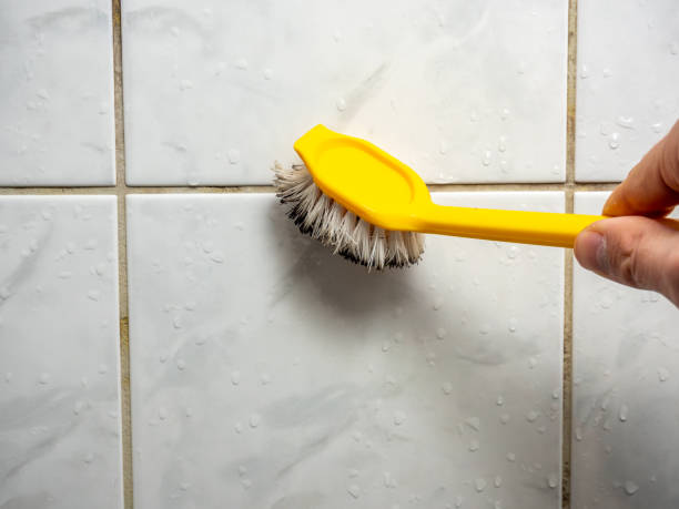 Best Mold Cleaning Services  in Toledo, OH