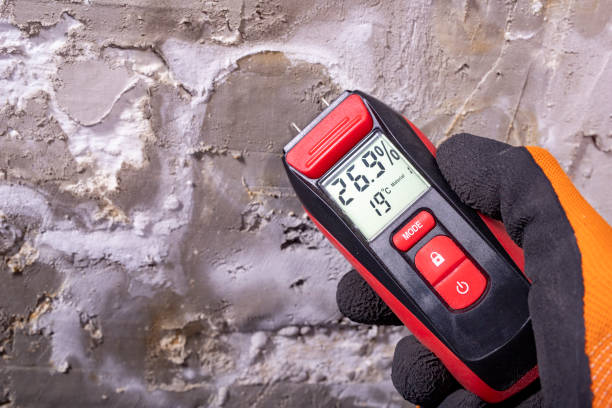Best Office Mold Removal Services  in Toledo, OH