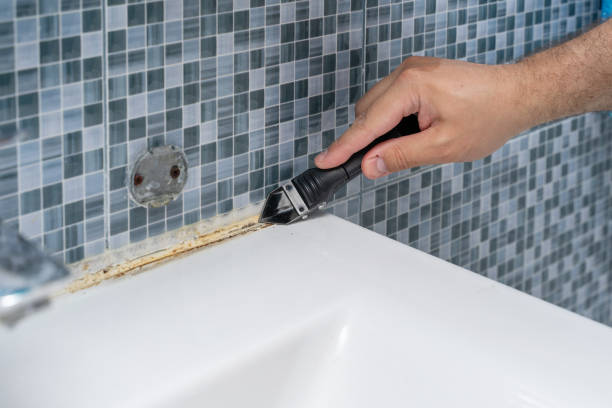 Reliable Toledo, OH Mold Removal Solutions